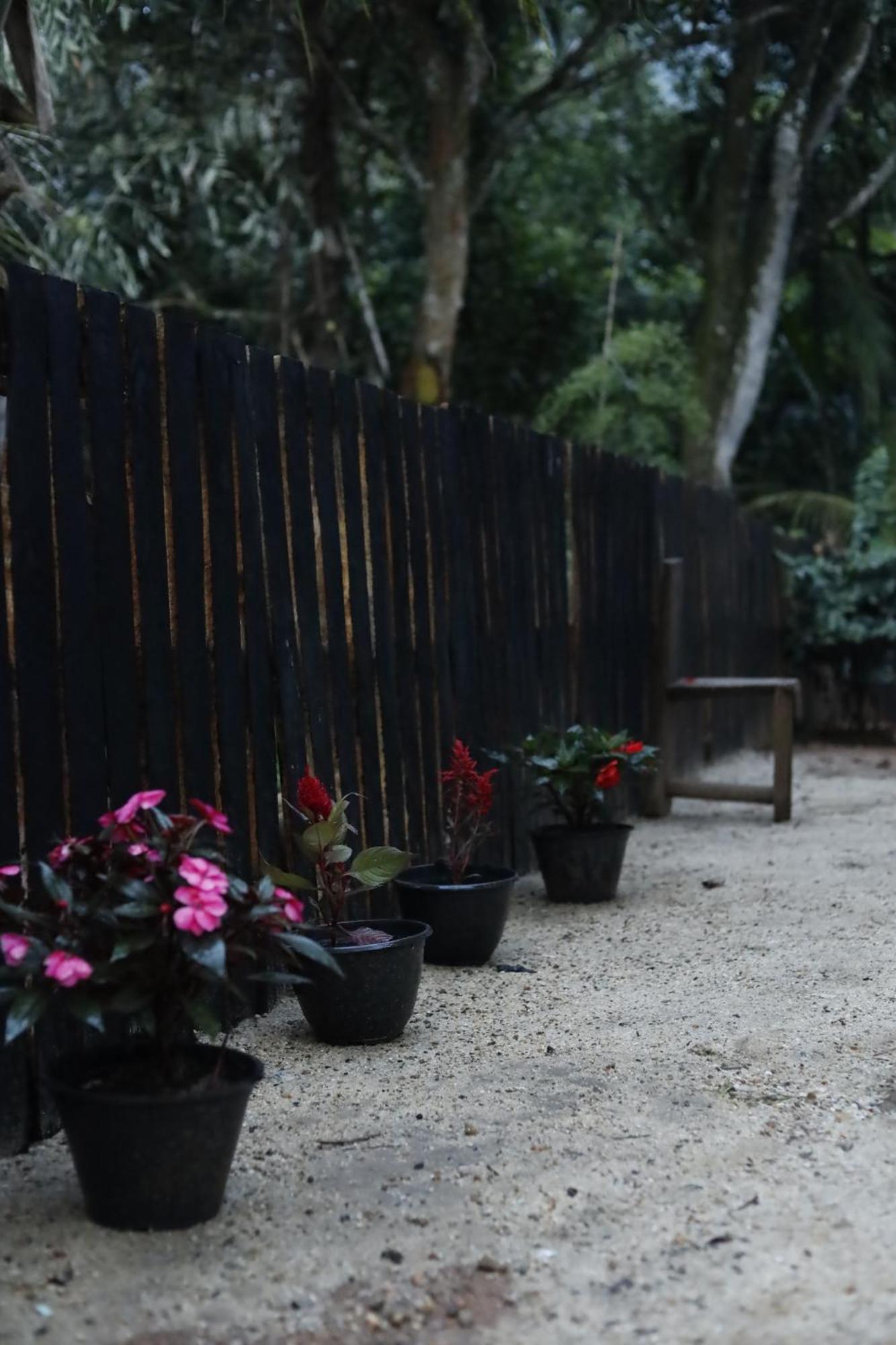 Bed & Baggage Hostel Ella Luaran gambar
